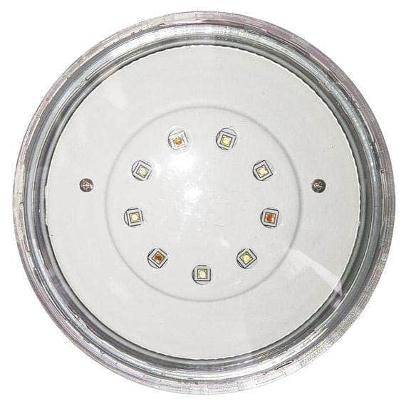 Consolidated Pool und Spa Industries Inc., Aqua Lamp Teil LED-Birne 12V Rainbow Rays Digital mit O-Ring - AL14RR