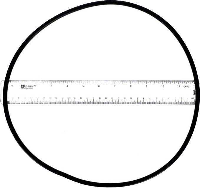 Poolweb.com, C-18 P24150 O-Ring für Pumpendeckel